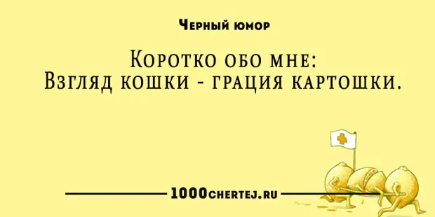Ловкость кошки грация картошки