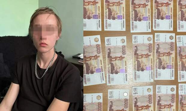 В Северодвинске задержали 19-летнего курьера, забравшего у пенсионерок 100 тысяч рублей
