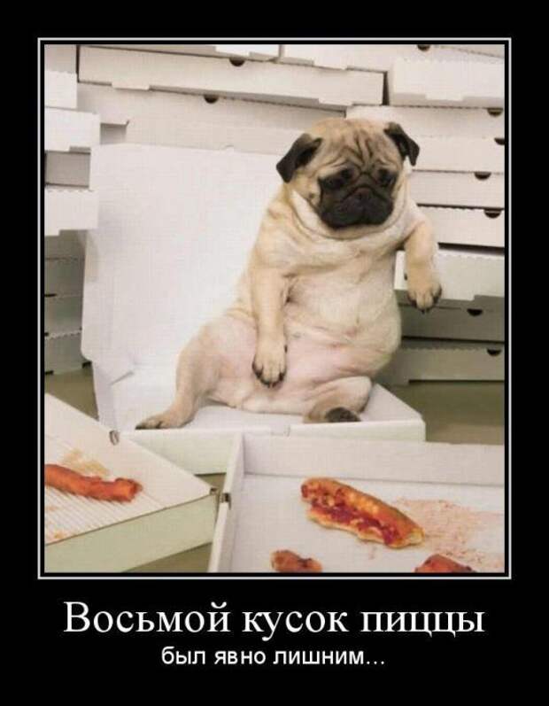 Pro100 Dемотиваторы