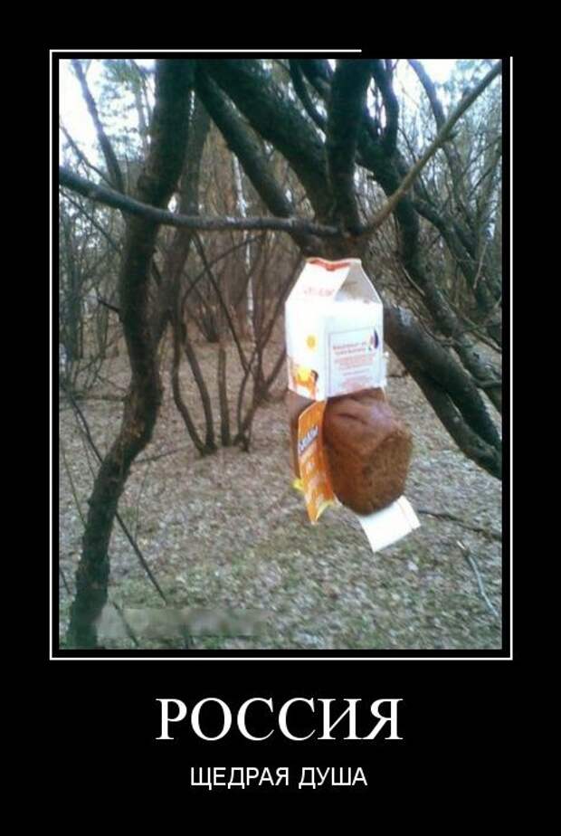 Демотиваторы Демотиваторы