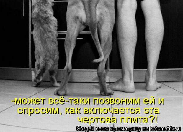 Котоматрица - -может всё-таки позвоним ей и  спросим, как включается эта чертова пли