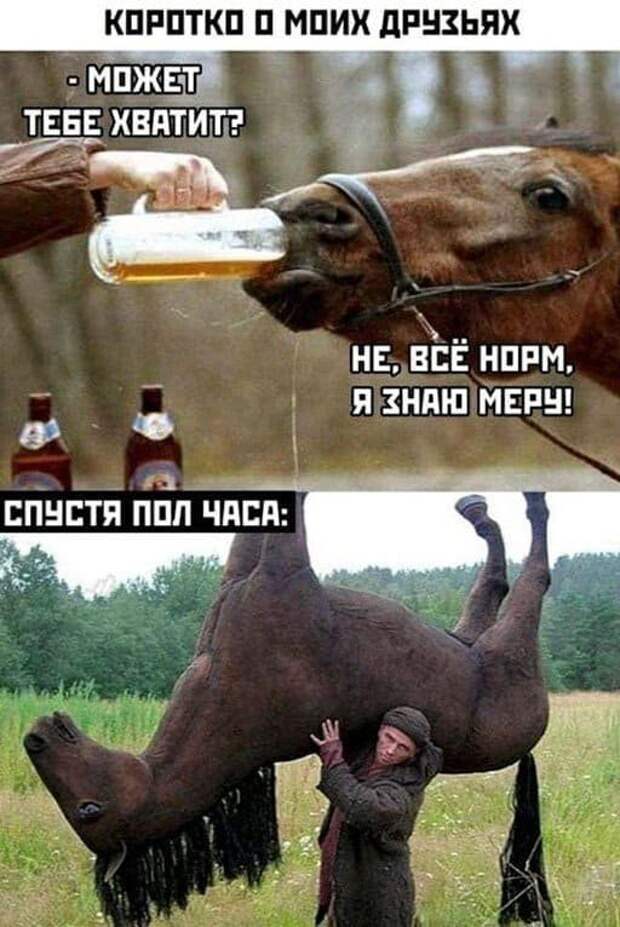 Шутки и мемы про алкоголь
