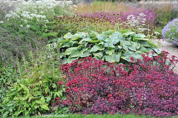 Trantham Gardens 330.JPG