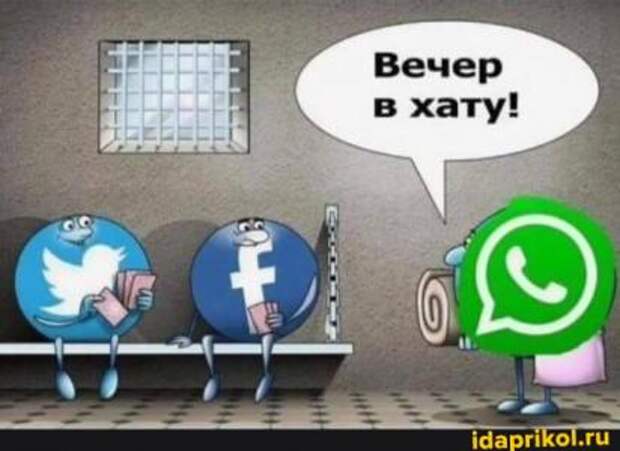 Замедляторы