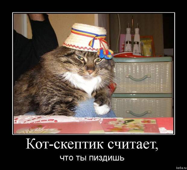 Животным смешно, а вам? (90 фото)