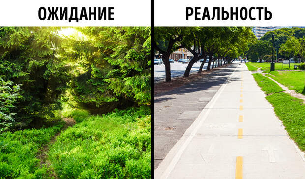 Чем грозит нападение клеща?