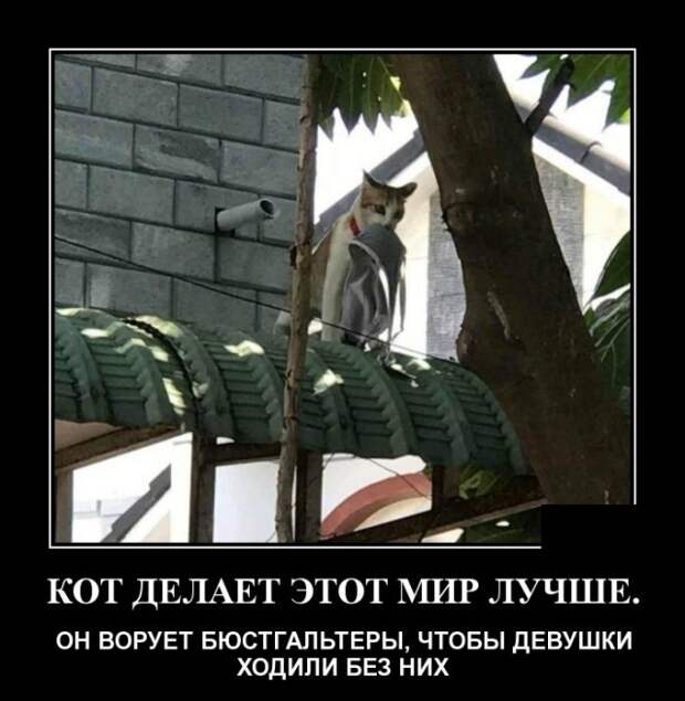 Демотиваторы №2100 (30 фото)