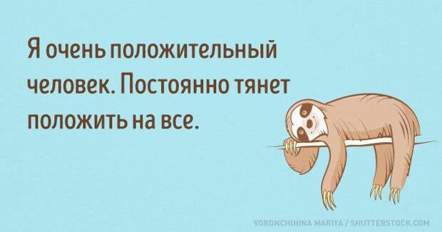 Смешные открытки (15 картинок) Смешные открытки (15 картинок)