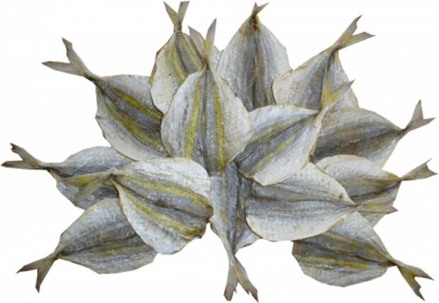 6. Желтый полосатик 6. Желтый полосатик Закуски, еда, к пиву