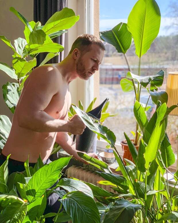 Популярный Instagram-аккаунт с полуголыми мужчинами и растениями