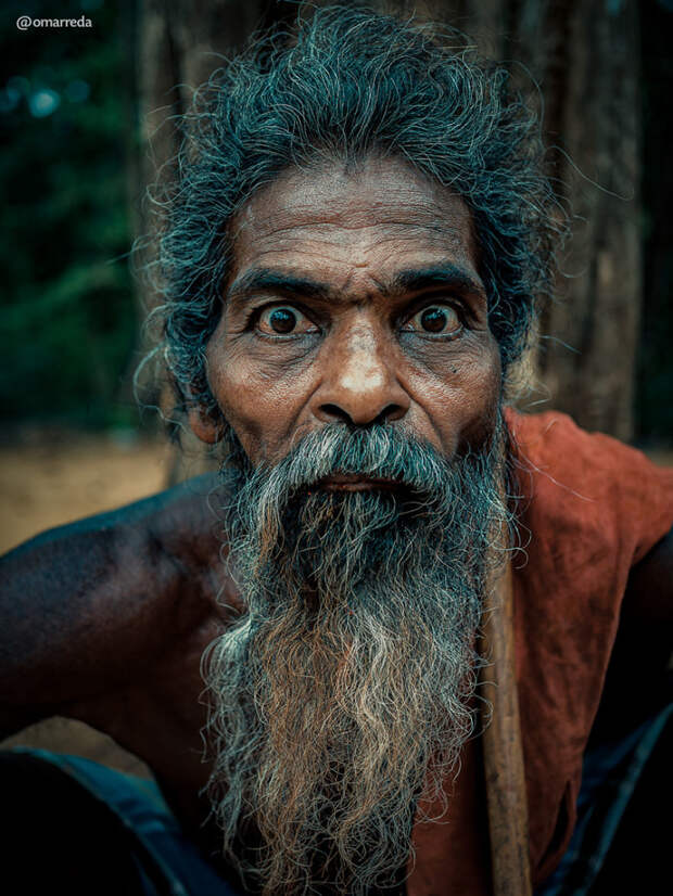 Ведды: коренное население Шри-Ланки ведды, культура, мир, народ, планета, племя, портрет, путешествие