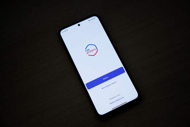 Юрист Соловьёв: мошенники начали использовать логотип «Госуслуг» для обмана россиян