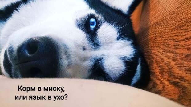 Как то просыпаюсь, а тут такое