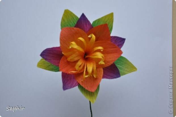 Поделка изделие Бумагопластика цветы из гофробумаги  мастер-класс Бумага гофрированная фото 12