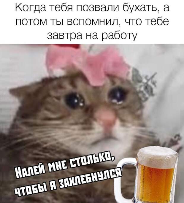 kartinok-prikolnyh-podborka-kartinki-smeshnye-kartinki-fotoprikoly