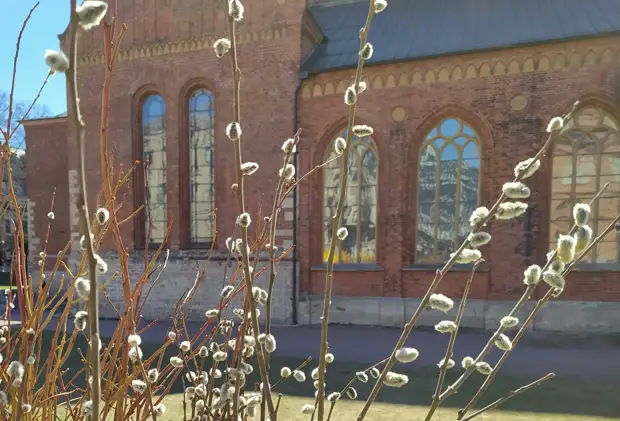 Тепло и высокая пожароопасность вернутся в Новосибирскую область с 25 апреля