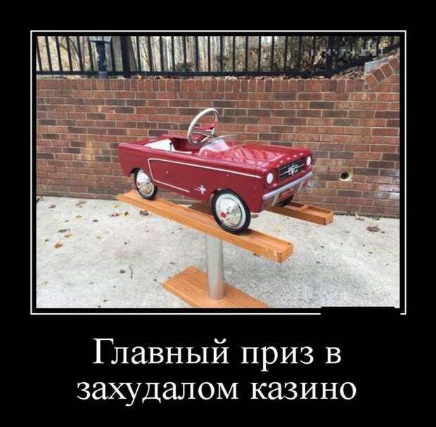 Демотиваторы на субботу (28 фото)