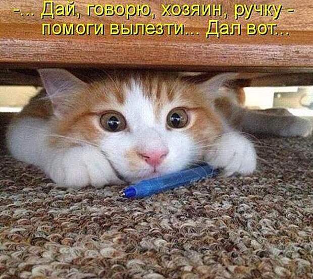 c3a201e64ea6f227df4d6c6dc42_prev