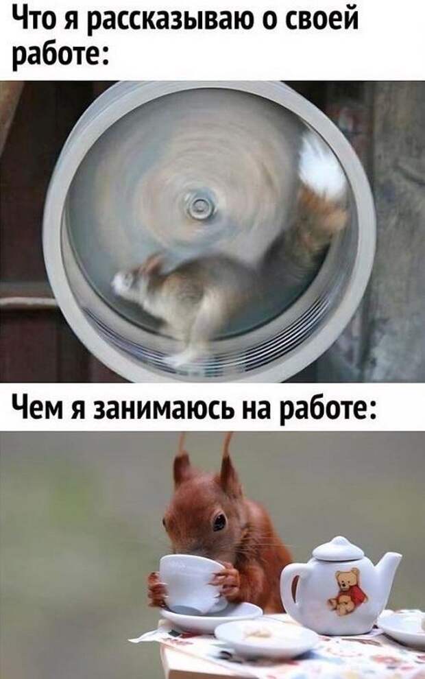 Супер ржачные картинки