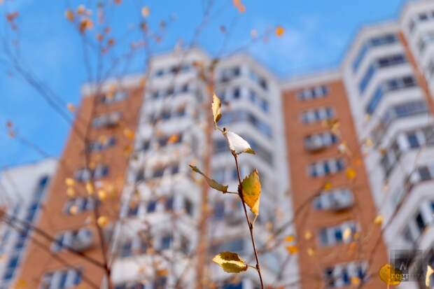 Синоптики прогнозируют потепление в Москве к праздничным выходным