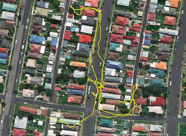 Куда ходит ваша кошка ночью: GPS-анализ похождений Куда ходит ваша кошка ночью: GPS-анализ похождений