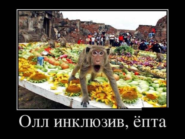 Демотиваторы (30 фото)