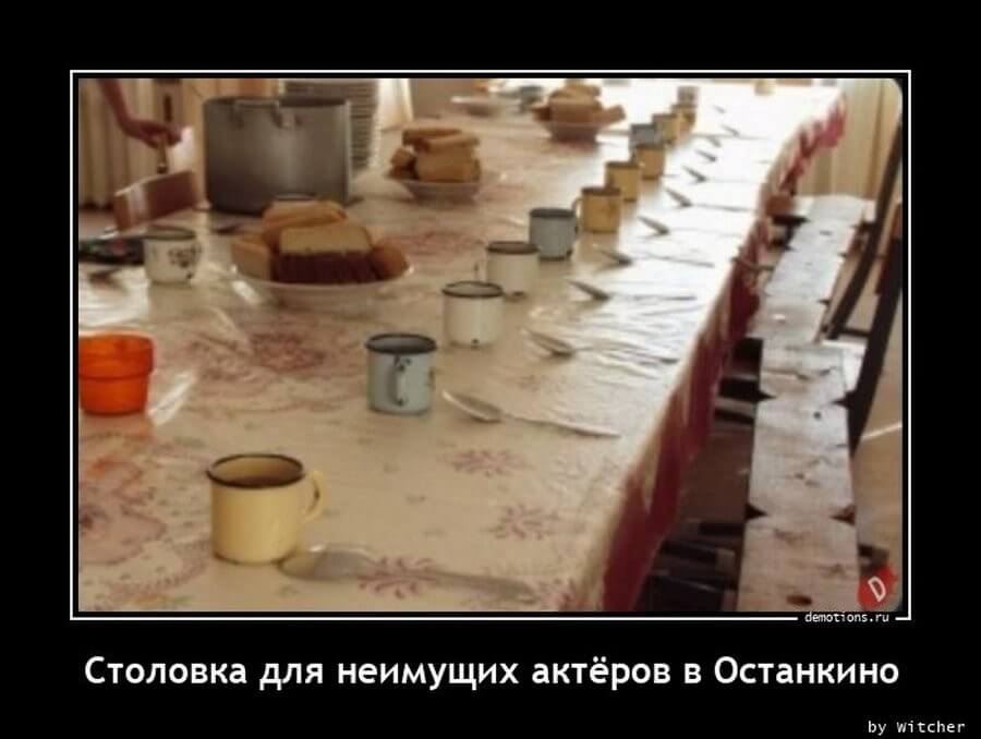 Пятничные демотиваторы: праздники, социум и живность