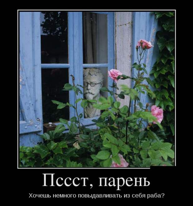 Демотиваторы (30 фото)