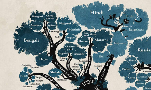 Дерево языков: схема, составленная лингвистами, изменит ваш взгляд на человечество! Родной язык, все люди братья, инфографика, лингвистика, на чем мы говорим, сравнительное языкознание, языки, языковые группы