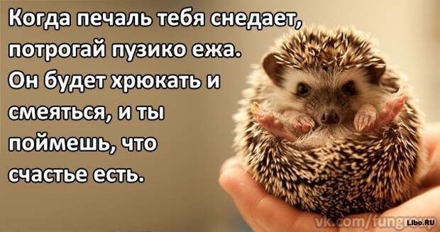 Мне кажется, женщины с именем Галина рождаются уже в возрасте лет пятидесяти. Мне кажется, женщины с именем Галина рождаются уже в возрасте лет пятидесяти.