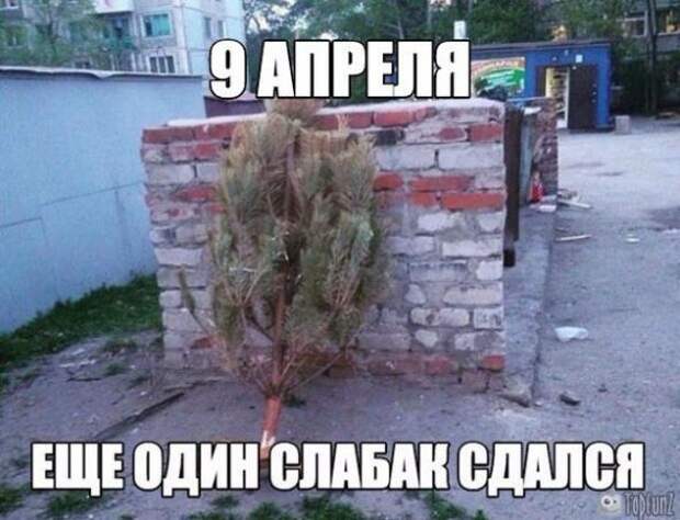 Картинки, юмор, приколы