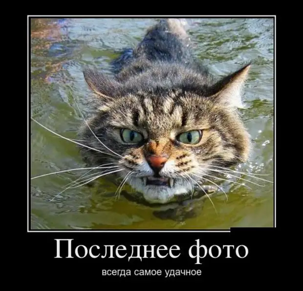 25 демотиваторов, которые сделают ваш день мегаржачным 25 демотиваторов, которые сделают ваш день мегаржачным надпись, картинка, демотиваторы, просто, смешных, существенной, картинок, демотиваторовприколов, заключается, весёлая, первична, играет, хороши, демотиваторах, очень, важна, демотиваторов, выполнены, всяких, похвал