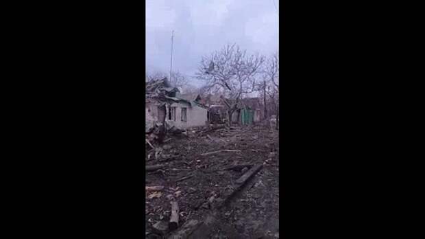 Video: video (5).mp4