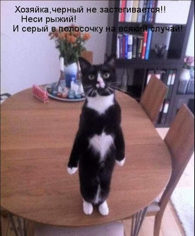 1d1b6c442c0287dc2d291b40300