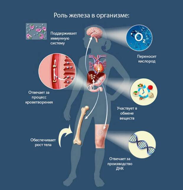 Дефицит микроэлементов, которыми страдают почти все