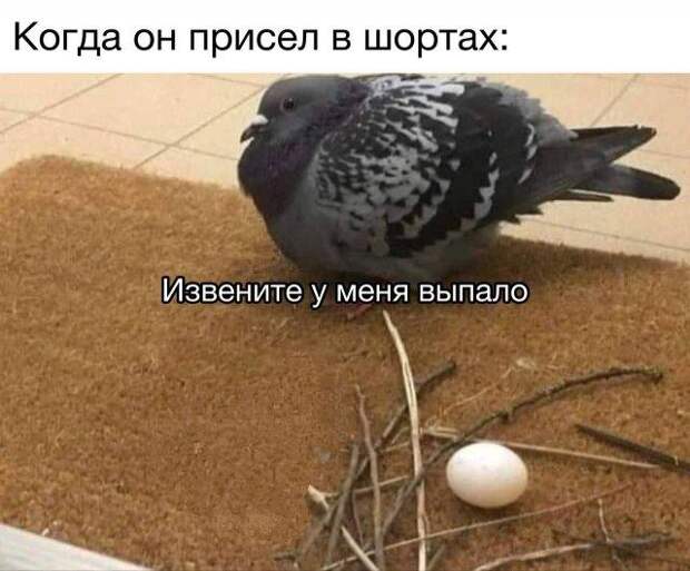 Свежие мемы на понедельник (15 шт)