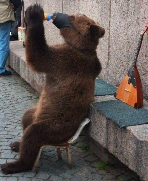 Все в порядке, вы в России!