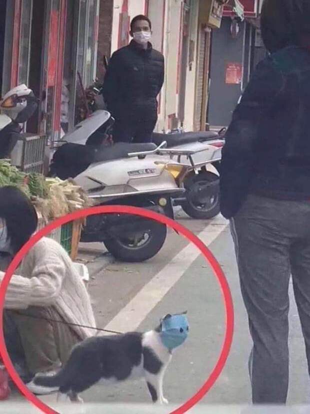 Заботливый хозяин
