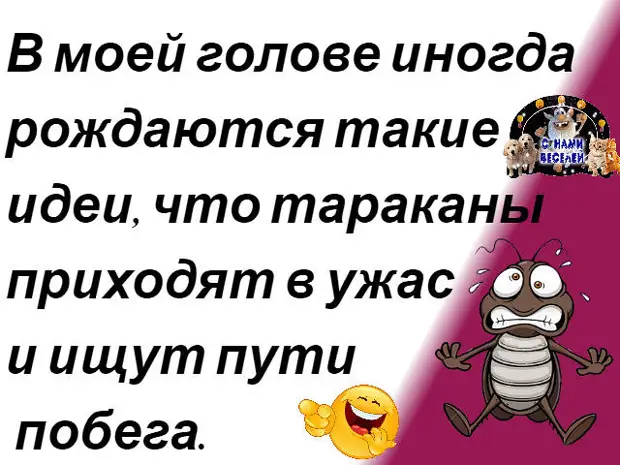 Тараканы в голове картинки прикольные у женщин