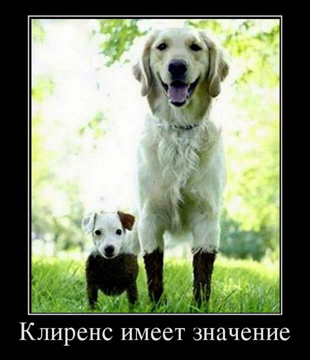 Разные демотиваторы
