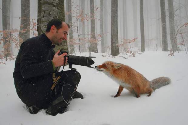 фотограф дикой природы, фотоохота