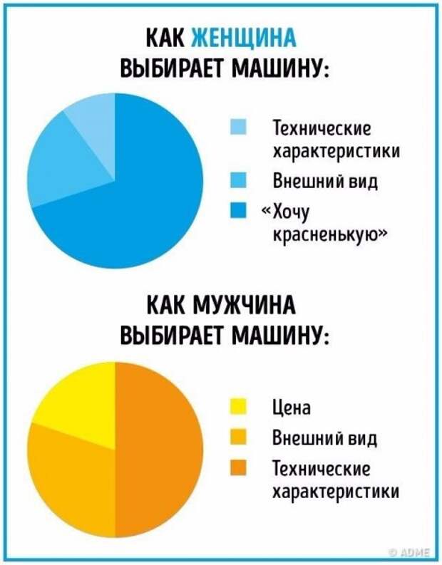 Отличия между мужчинами и женщинами в прикольной инфографике (10 фото)