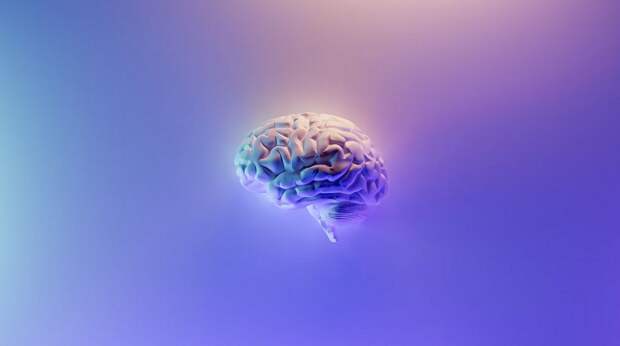 Neuralink планирует протестировать мозговой чип на трех пациентах с параличом