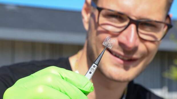 biodegradable-circuit-2 Ученые придумали, как доставлять обезболивающее точно к источнику боли