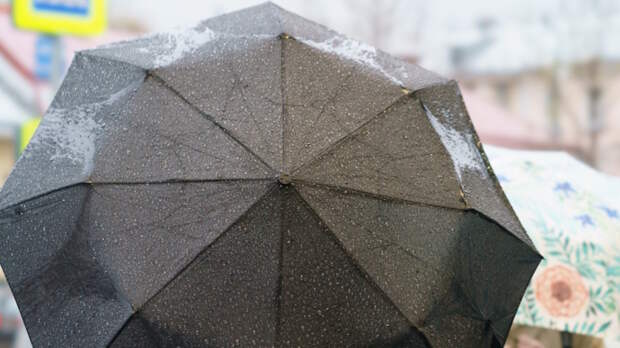 Рекорд осадков 116-летней давности побит в Москве