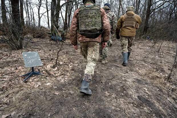 Стало известно о возможном обходе Россией ограничений на применение Starlink