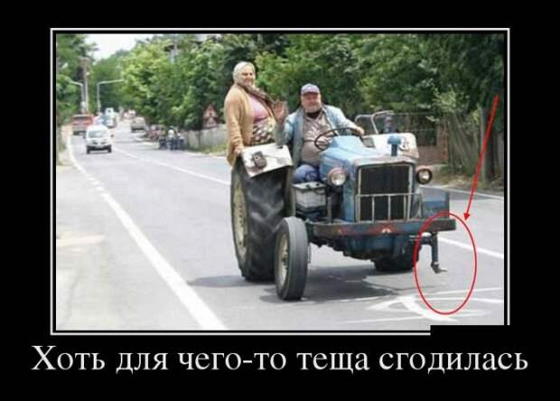 Демотиваторы на пятницу (30 фото)