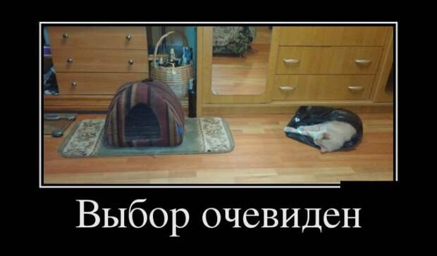 Прикольные демотиваторы на утро (11 фото)