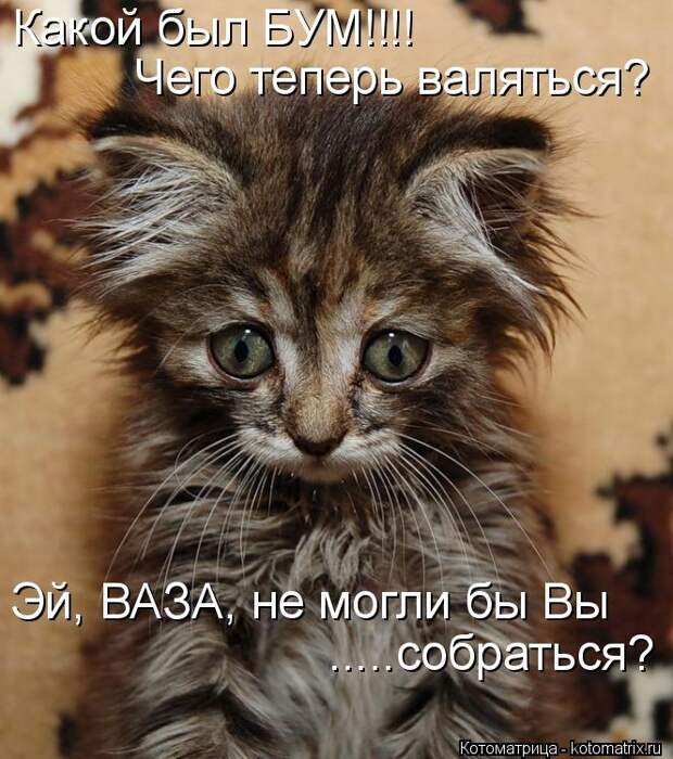 Котоматрица: Какой был БУМ!!!! Эй, ВАЗА, не могли бы Вы .....собраться? Чего теперь валяться?