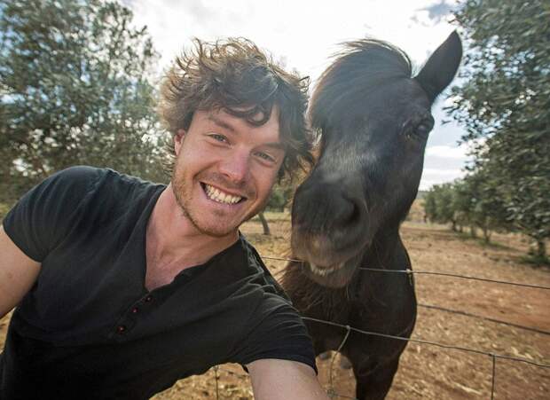 5511010-880-1450945704-funny-animal-selfies-allan-dixon-19